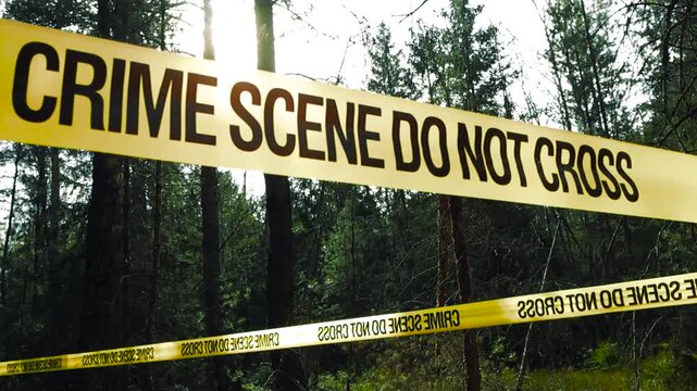 Crime Scene Tape around a Forest Area for Investigation, Sunshine