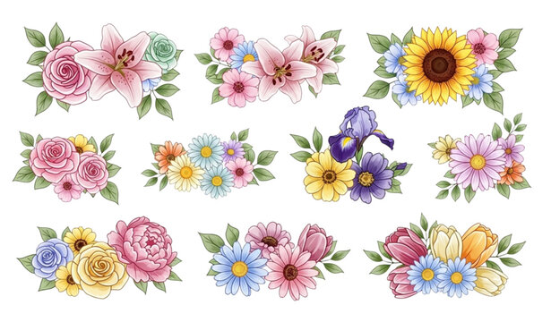 Colorful blooming flower set with decorative botanical floral vector illustration style
