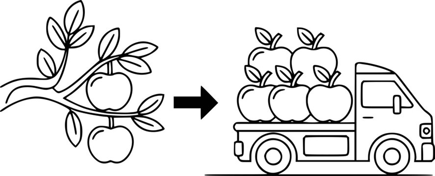 Line of apples tree branch transitioning to truck load fruit