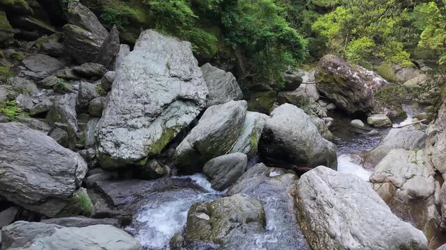 初夏のにこ渕４