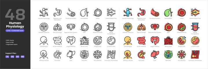 Human physiology icon set collection - colored outline line art style. Arterial Blood Flow Arteries Asthma Atherosclerosis B Cell Bacteria Basophil Blood Clots Blood Composition Coronary Thrombosis © Yumagema