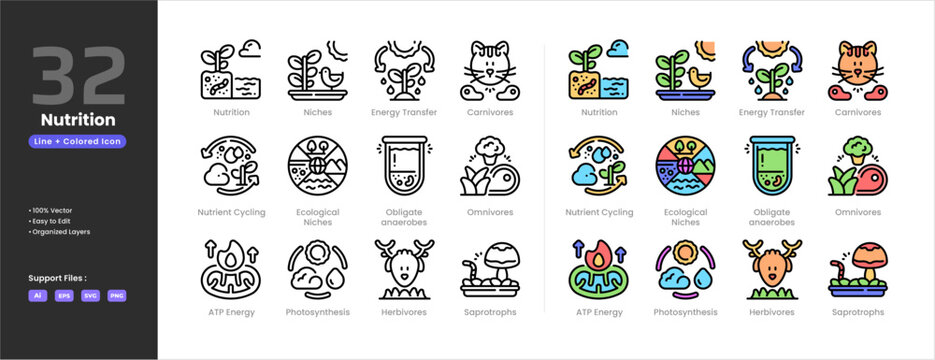 Nutrition icon set collection - colored outline line art style. Ecological niches energy transfer carnovires omnivores herbivores obligate anaerobes ATP nutrient cycling photosynthesis saprotrophs