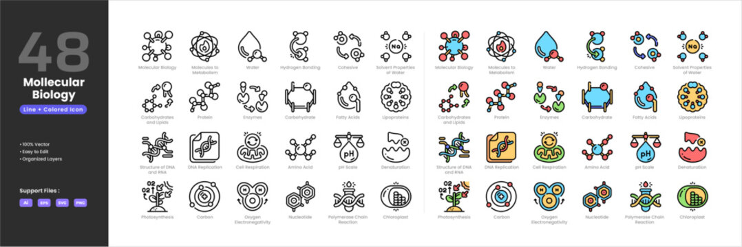 Molecular biology icon set collection - colored outline line art style. Containing amino acid carbohydrate lipids carbon cell respiration chloroplast cohesive denaturation DNA replication enzymes.