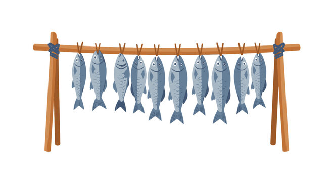 Freshly caught fish hanging on a wooden rack against a white background