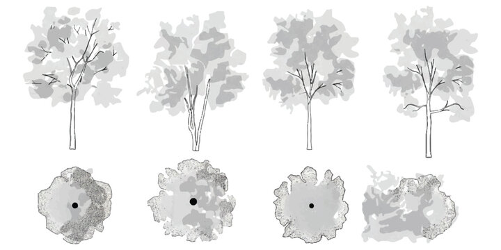Set of sketch tree icons in top and side view for architectural design
