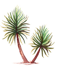 Obraz premium Watercolor Palm Trees Illustration