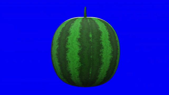 3D Watermelon Fruit Looping Animation Rotating on Blue Screen, High Quality Striped Citrullus Motion Graphic Isolated, Minimalist CGI Watermelon for Food Video Content and Creative Editing