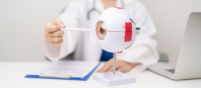Doctor with human Eye anatomy model with magnifying glass. Eye disease, Refractive Errors, Age Related Macular Degeneration, Cataract, Diabetic Retinopathy, Glaucoma, Amblyopia, Strabismus and Health