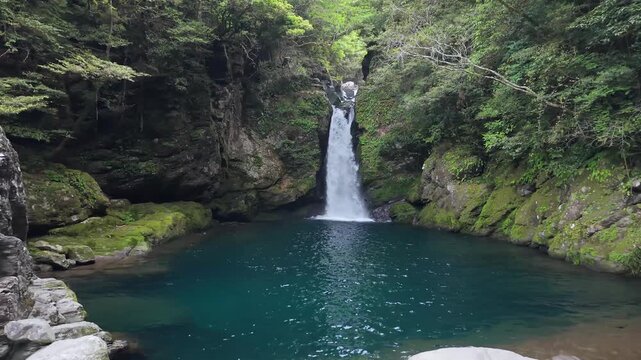 初夏のにこ渕２