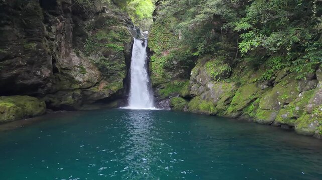初夏のにこ渕１