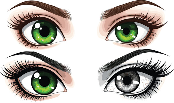 Realistic Female Eyes Illustration Set with Green and Monochrome Variations, Detailed Eyelashes, Eyebrows, Makeup Elements for Beauty, Cosmetic Design, and Fashion Vector Artwork