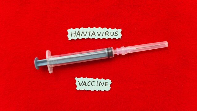 Concept of vaccine research for prevention and protection against hantavirus or orthohantavirus outbreak life-threatening rare disease. Syringe near hantavirus vaccine word or text.