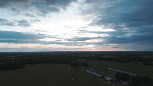 Industrial Farming With Chicken Houses Near Gentry In Arkansas, United States. Aerial Wide Shot