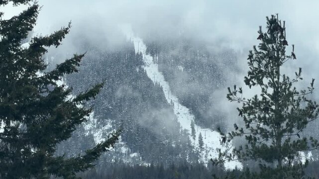 White fog enveloping the serene landscapes of Whistler Blackcomb Mountain Ski Resort. Upper Valley view of ascending chair lifts.