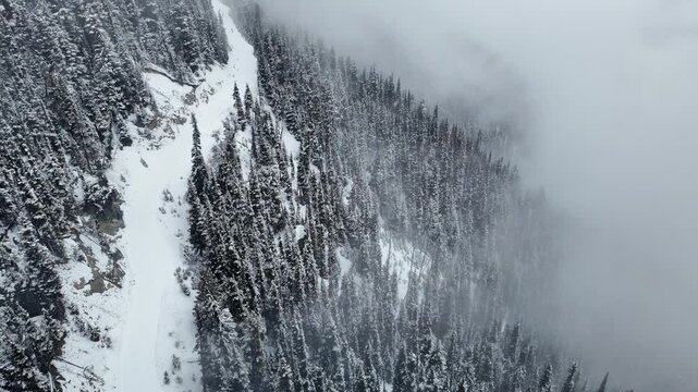 White out snow conditions developing in the pristine, unpatrolled, alpine ski slope of Whistler Backcountry, BC, Canada.