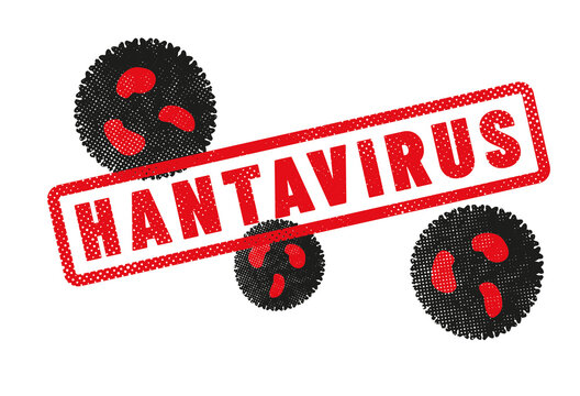 virus HANTAVIRUS ou orthohantavirus