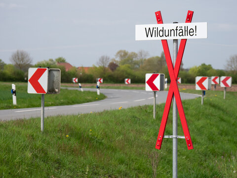 Hinweisschild Wildwechsel am Stra&szlig;enrand - Unfallschwerpunkt f&uuml;r Wildunf&auml;lle