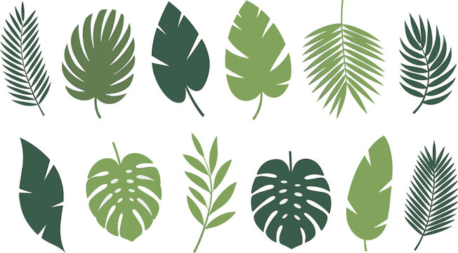 Tropical green leaves vector collection, botanical jungle foliage isolated natural plant design elements set