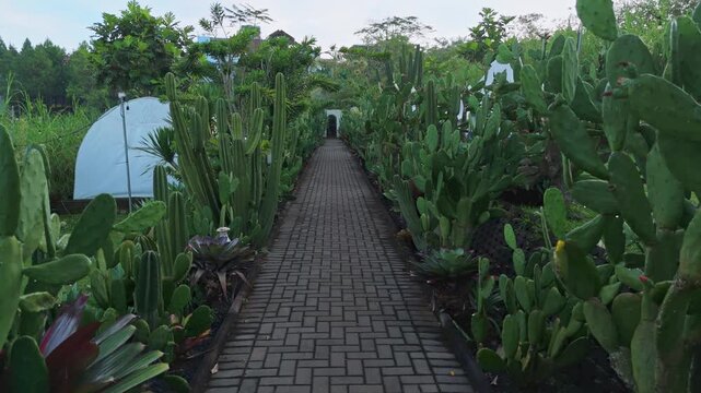 Serene brick walkway leading through a lush desert-style garden toward glamping tents
