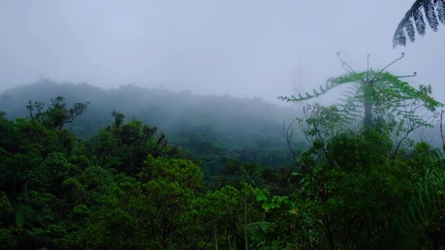 Scenic Fijian landscape view on Taveuni Island of rainforest and rugged hills during rain downpour in Fiji, South Pacific