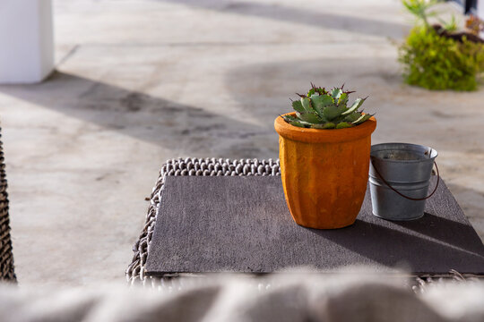 Green spiky succulent in orange terracotta pot sitting atop table, patio, metal bucket, copy space