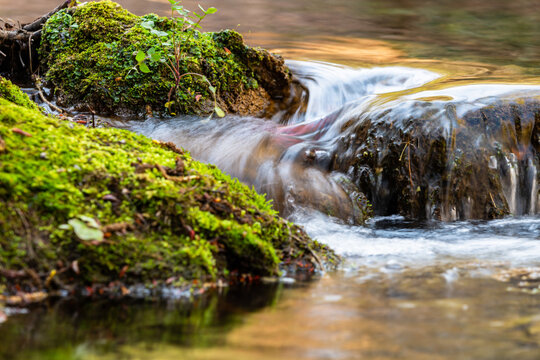 Flowing Water Over Mossy Rocks &ndash; Small Waterfall in Forest