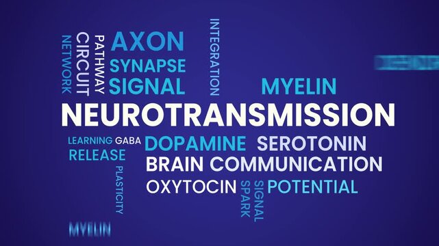 Neurotransmission data word cloud text animation isolated on blue background
