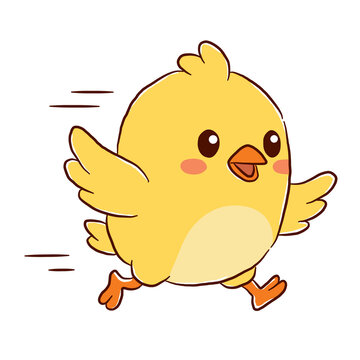the chick is running