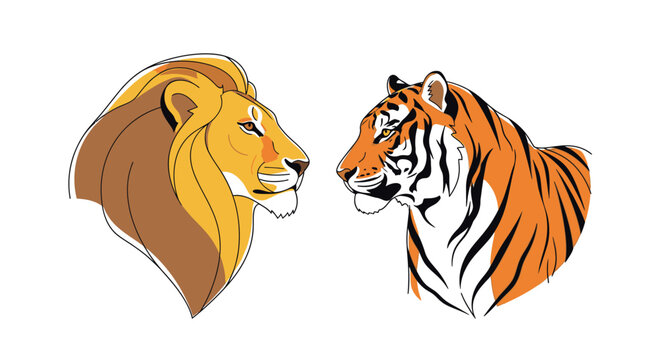 Lion and tiger facing each other in profile view on white background