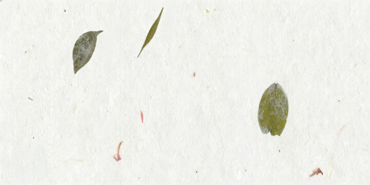 Soft, textured paper speckled with delicate botanical elements like leaves creates a sense of natural artistry and organic beauty.