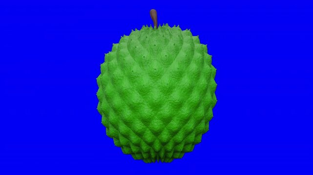 3D Soursop Fruit Looping Animation Rotating on Blue Screen, High Quality Green Annona Muricata Motion Graphic Isolated, Minimalist CGI Guanabana for Tropical Food Video and Creative Editing