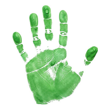 A green handprint made with paint on a white background
