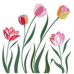 Obraz premium Minimalist vector illustration of colorful tulips and green stems