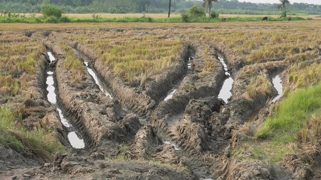 Tractor tire tracks in muddy agricultural field