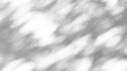 Obraz premium shadow of a tree sways on a transparent background