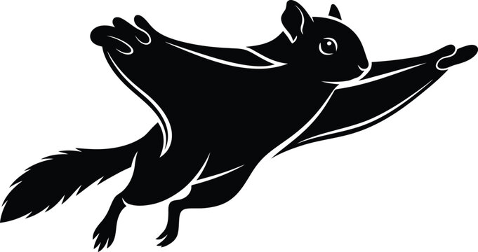 Flying squirrel isolated on transparent background