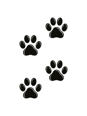 Fototapeta premium Black paw prints trail on white background