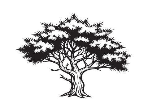 Juniper tree silhouette vector illustration for desert and forest design 