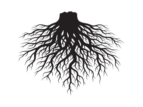 Natural oak root silhouette illustration for classic woodland themes 
