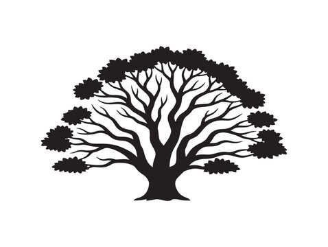 Stylish hackberry tree silhouette vector icon clean botanical shape 