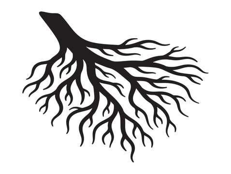 Sophisticated organic root silhouette with detailed flowing structure 