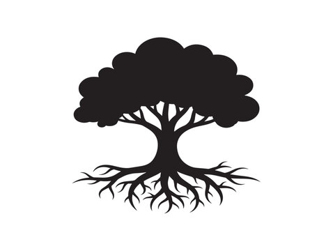 Balanced root tree silhouette with clean structured botanical layout 