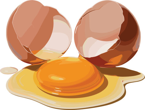 A single brown egg is cracked open vector on white background.