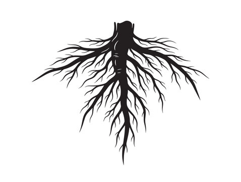 Heavy root base silhouette vector icon for strong foundation symbolism 