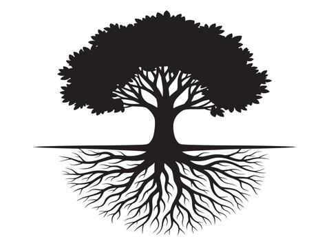 Full tree root spread silhouette illustration for botanical education visuals 