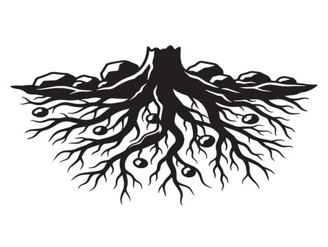 Rocky soil root silhouette with rugged organic texture 