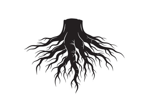 Artistic gnarled root cluster silhouette with rustic botanical appeal 