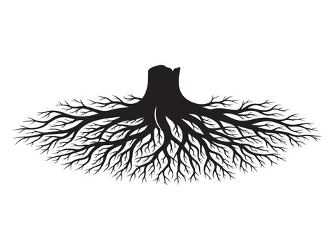 Root web silhouette with interconnected organic network design 