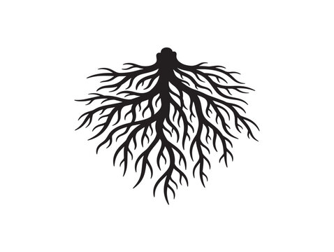 Detailed fine root network silhouette with elegant organic structure 