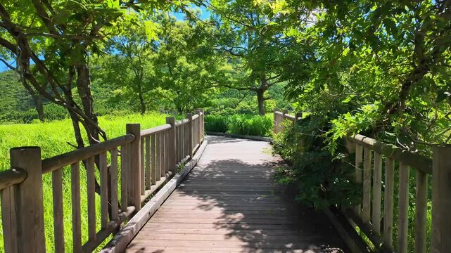 夏のタデ原湿原